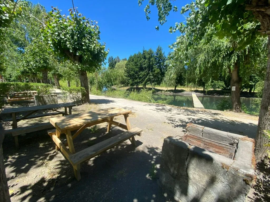 Puente de madera sobre el río Laja con sauces llorones en Camping San José