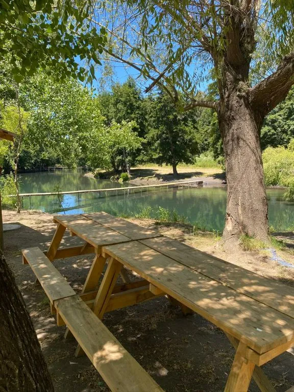 Pasarela flotante de madera rodeada de sauces llorones y vegetación verde en el río Laja