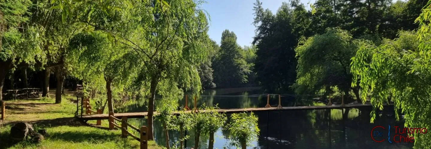 Sitio de camping con mesa de madera y fogón bajo la sombra de árboles en Camping San José